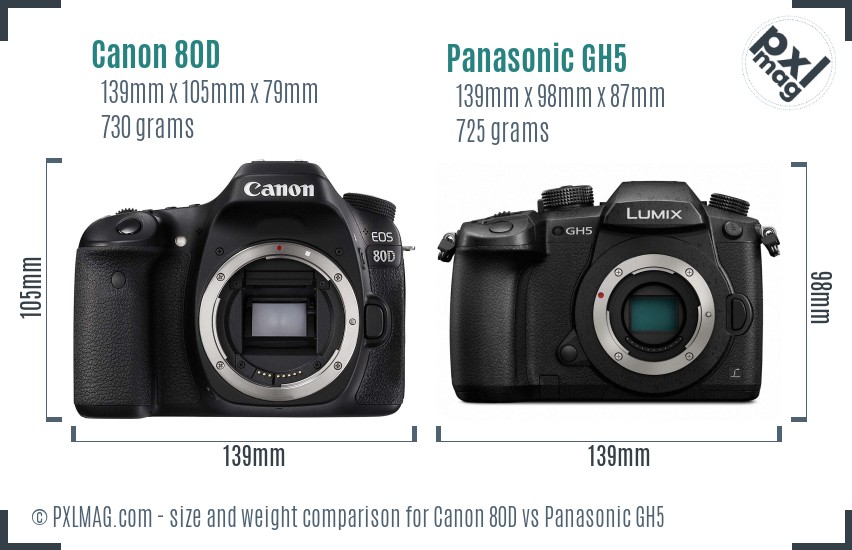 Canon 80D vs Panasonic GH5 size comparison