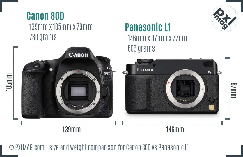 Canon 80D vs Panasonic L1 size comparison