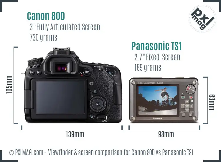 Canon 80D vs Panasonic TS1 Screen and Viewfinder comparison