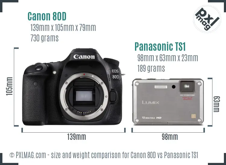 Canon 80D vs Panasonic TS1 size comparison