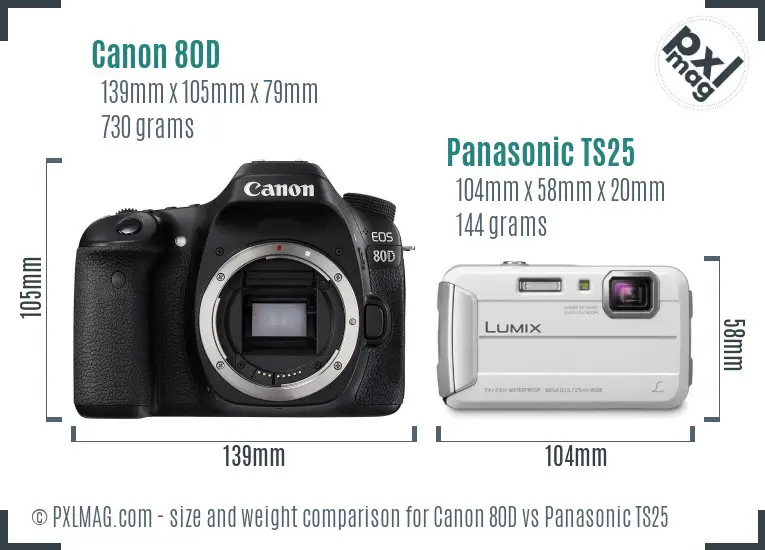 Canon 80D vs Panasonic TS25 size comparison
