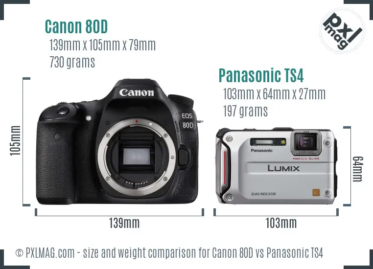 Canon 80D vs Panasonic TS4 size comparison
