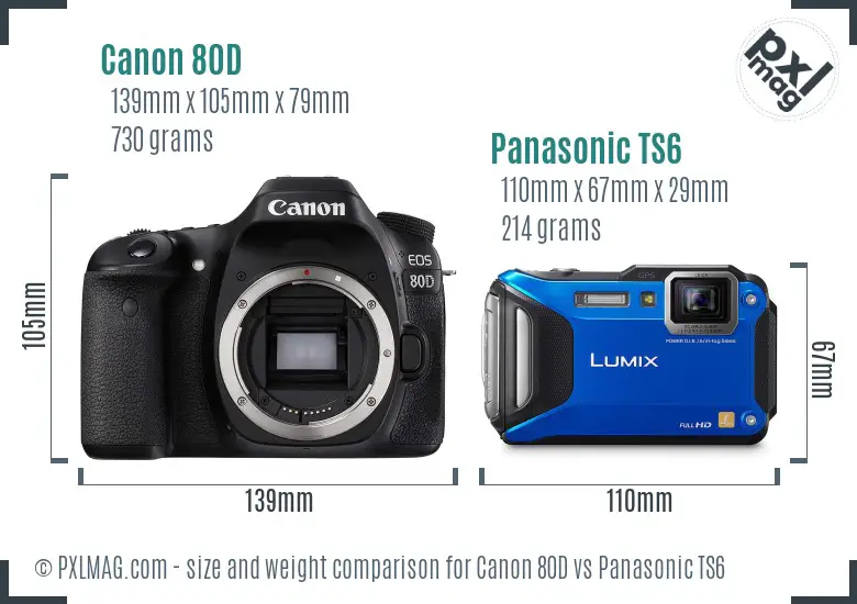 Canon 80D vs Panasonic TS6 size comparison