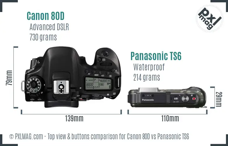 Canon 80D vs Panasonic TS6 top view buttons comparison