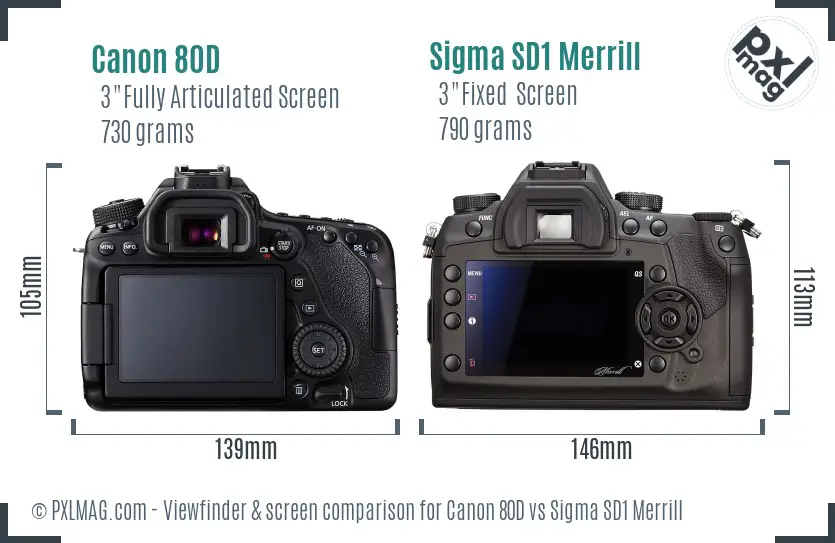 Canon 80D vs Sigma SD1 Merrill Screen and Viewfinder comparison