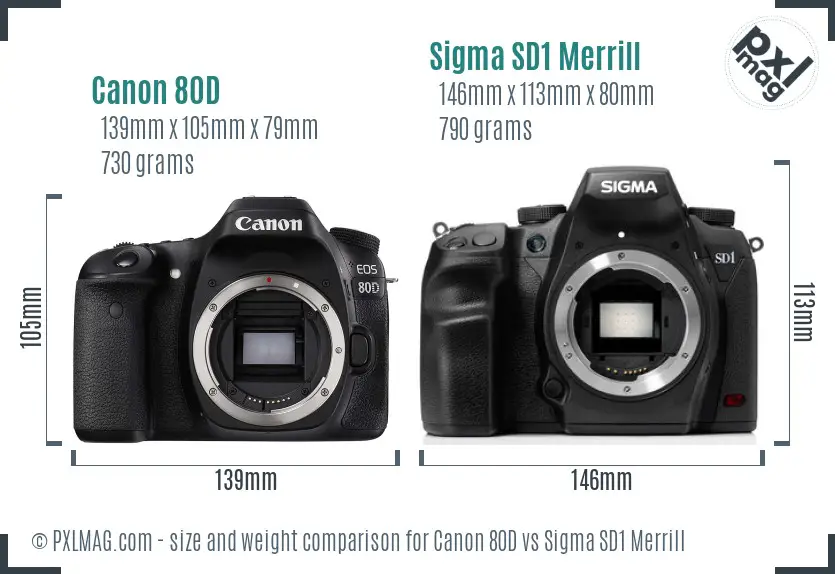 Canon 80D vs Sigma SD1 Merrill size comparison
