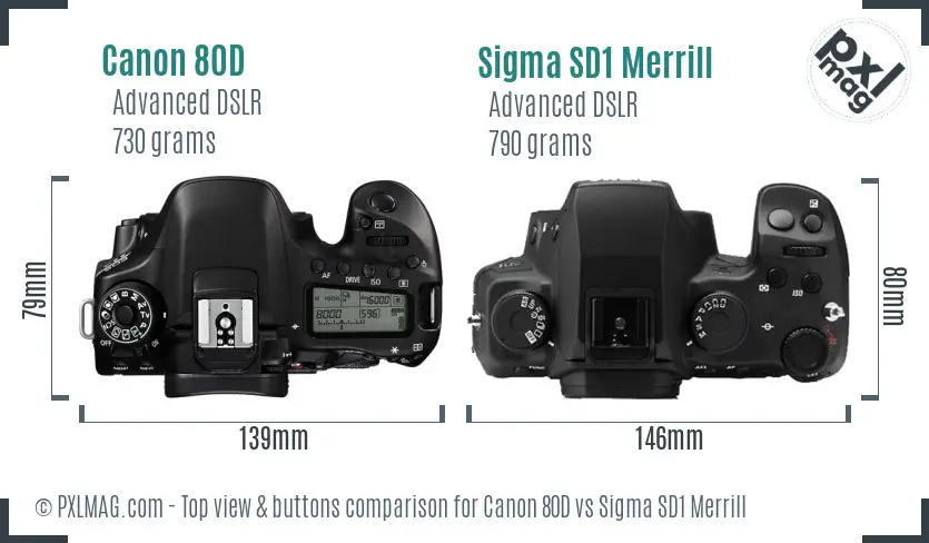 Canon 80D vs Sigma SD1 Merrill top view buttons comparison
