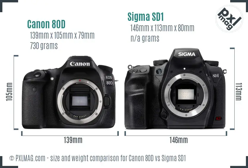 Canon 80D vs Sigma SD1 size comparison