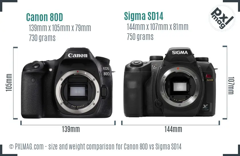 Canon 80D vs Sigma SD14 size comparison