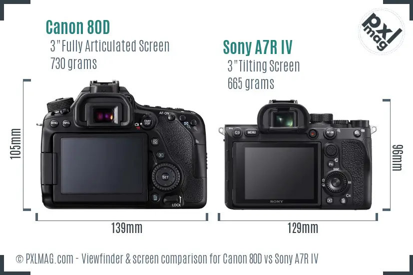 Canon 80D vs Sony A7R IV Screen and Viewfinder comparison Canon 80D vs Sony A7R IV Screen and Viewfinder comparison