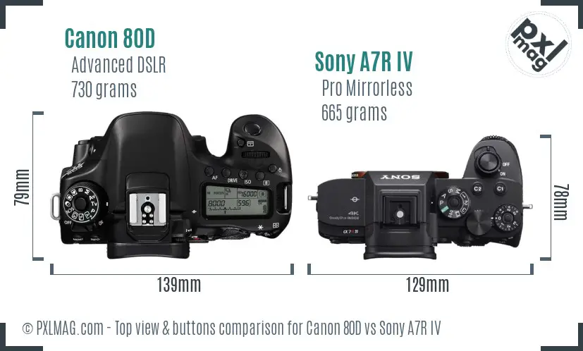 Canon 80D vs Sony A7R IV top view buttons comparison Canon 80D vs Sony A7R IV top view buttons comparison