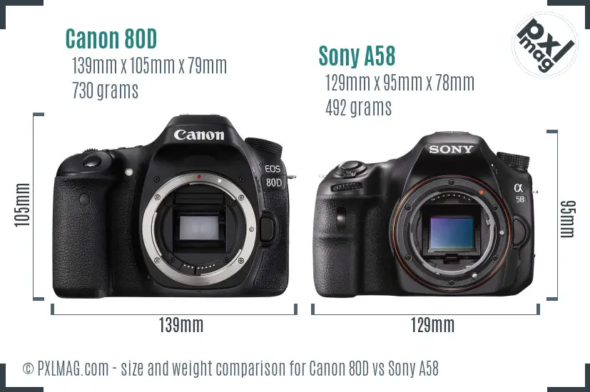 Canon 80D vs Sony A58 size comparison