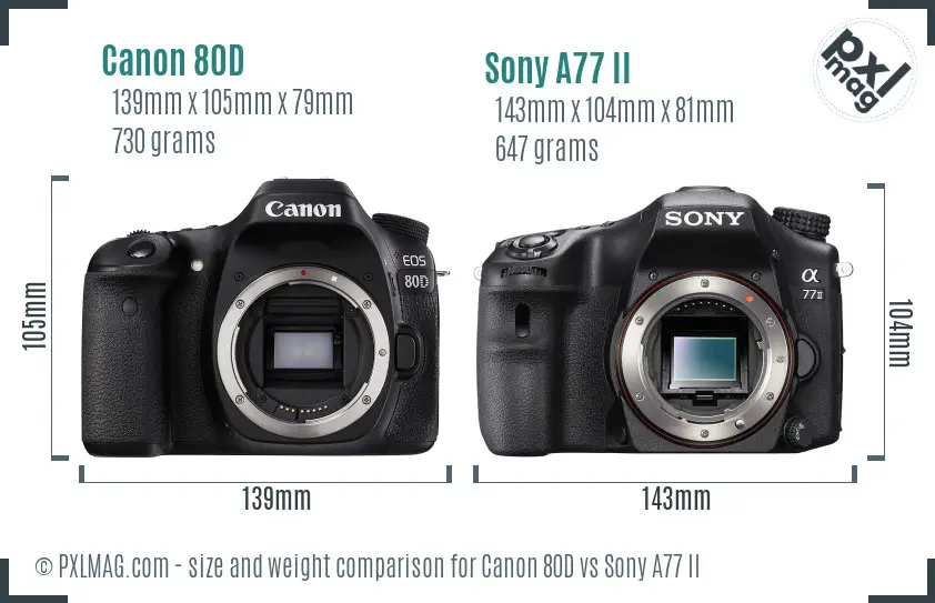 Canon 80D vs Sony A77 II size comparison