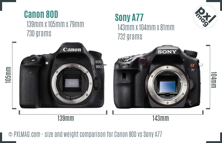 Canon 80D vs Sony A77 size comparison