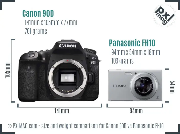 Canon 90D vs Panasonic FH10 size comparison