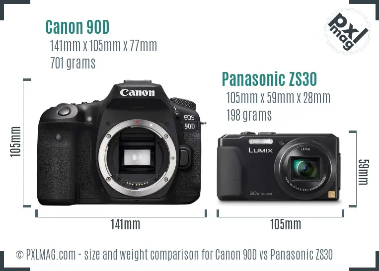 Canon 90D vs Panasonic ZS30 size comparison
