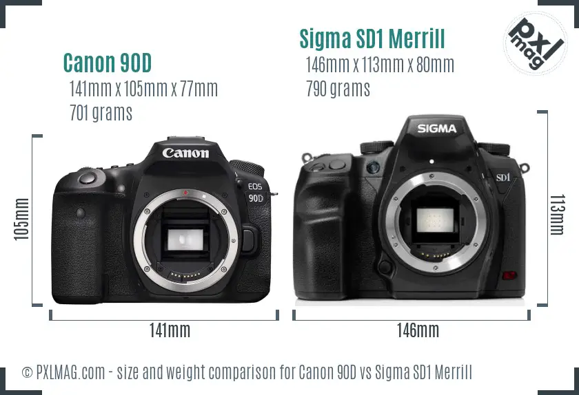 Canon 90D vs Sigma SD1 Merrill size comparison