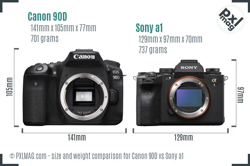 Canon 90D vs Sony a1 size comparison