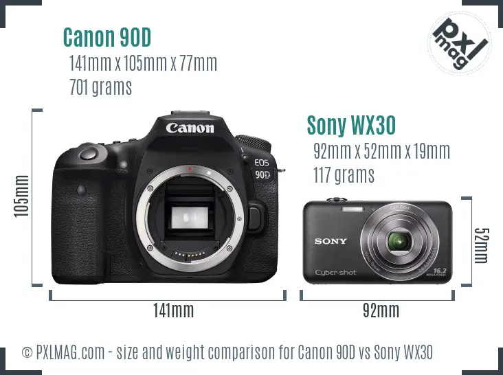 Canon 90D vs Sony WX30 size comparison