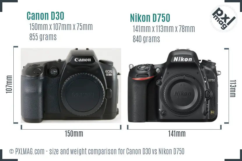 Canon D30 vs Nikon D750 size comparison