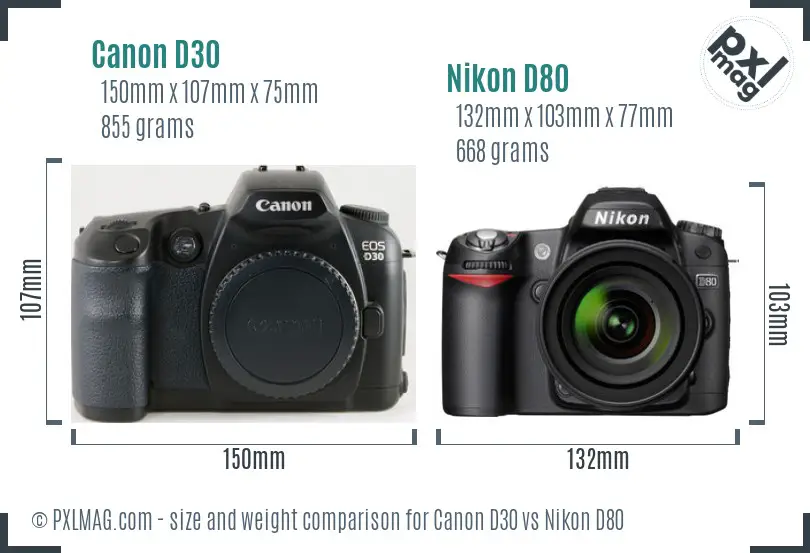 Canon D30 vs Nikon D80 size comparison