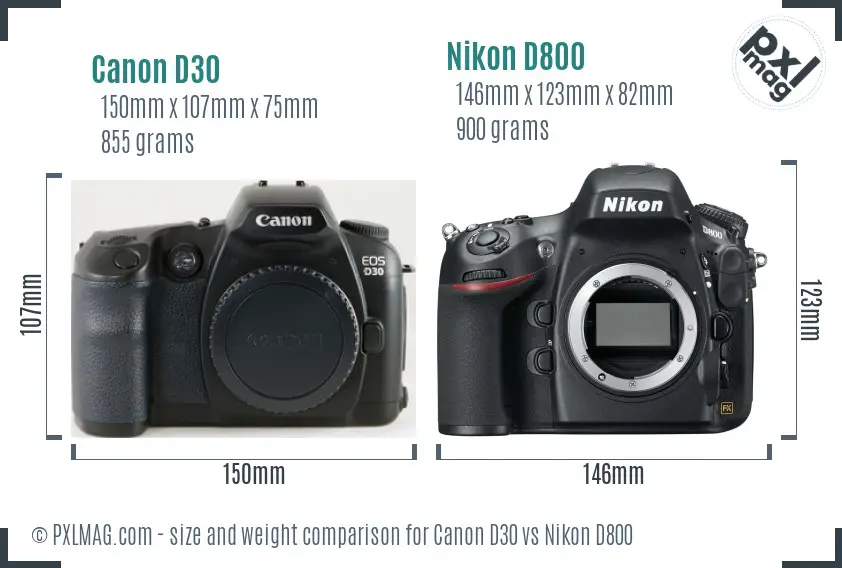 Canon D30 vs Nikon D800 size comparison