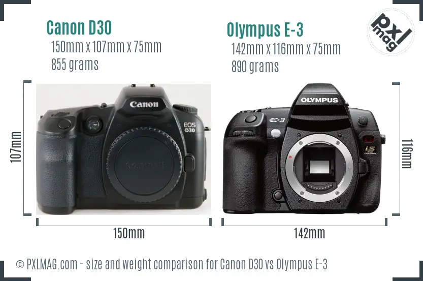 Canon D30 vs Olympus E-3 size comparison