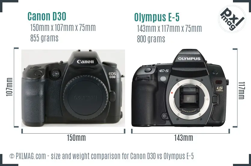 Canon D30 vs Olympus E-5 size comparison