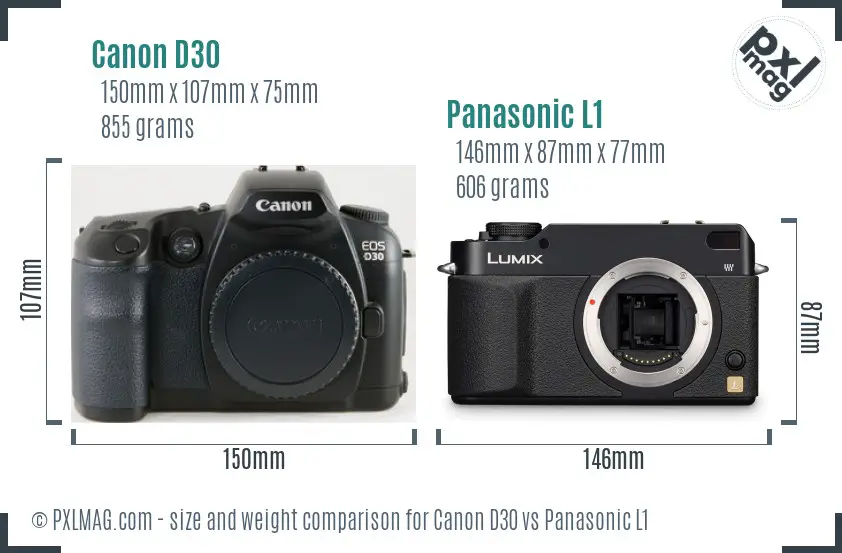 Canon D30 vs Panasonic L1 size comparison