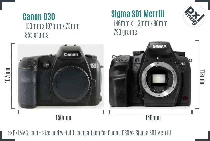 Canon D30 vs Sigma SD1 Merrill size comparison
