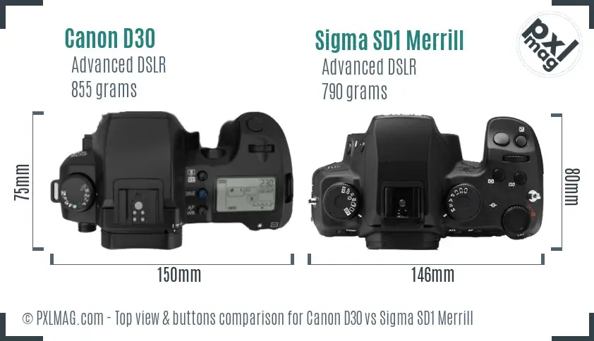 Canon D30 vs Sigma SD1 Merrill top view buttons comparison