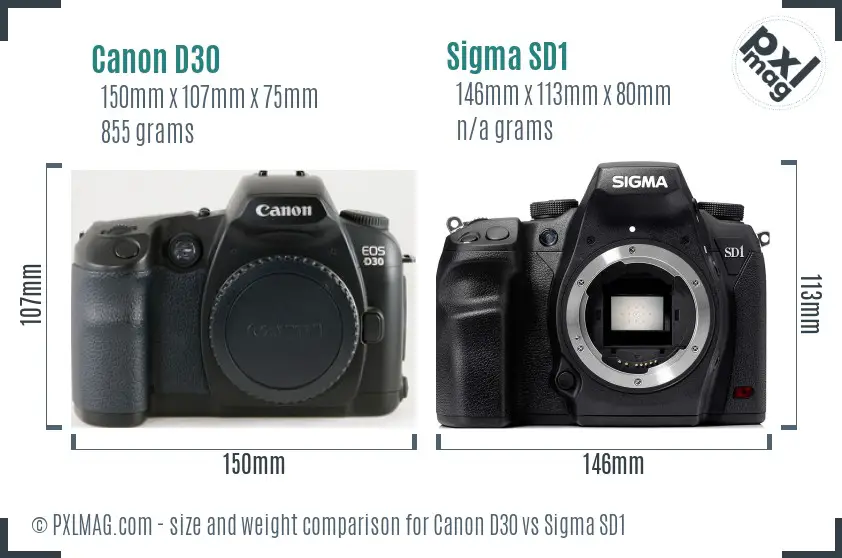 Canon D30 vs Sigma SD1 size comparison