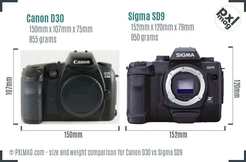 Canon D30 vs Sigma SD9 size comparison
