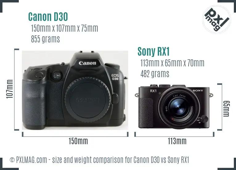 Canon D30 vs Sony RX1 size comparison