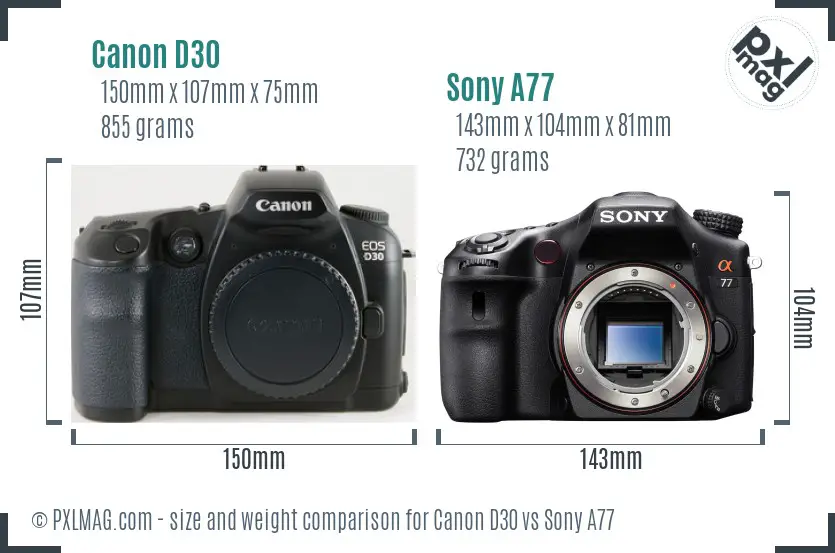 Canon D30 vs Sony A77 size comparison