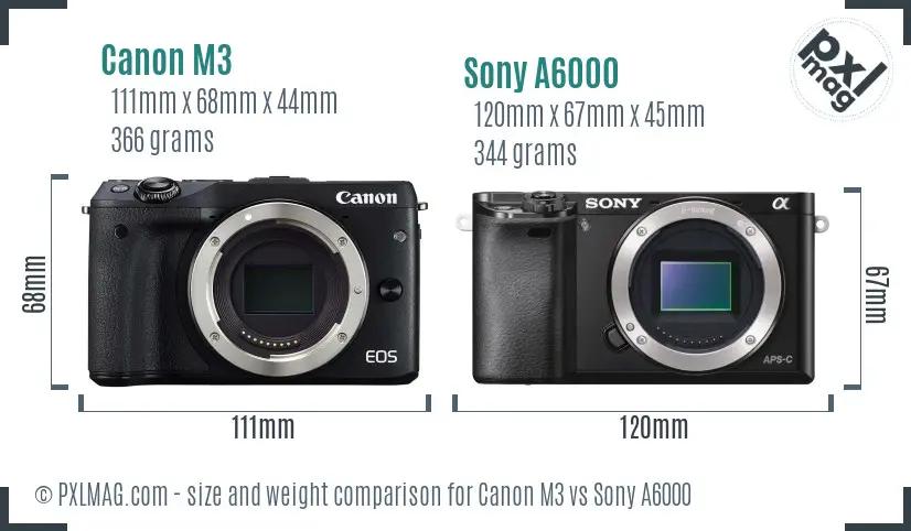 Canon M3 vs Sony A6000 size comparison