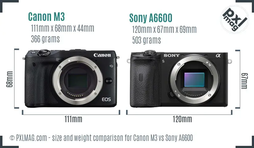 Canon M3 vs Sony A6600 size comparison