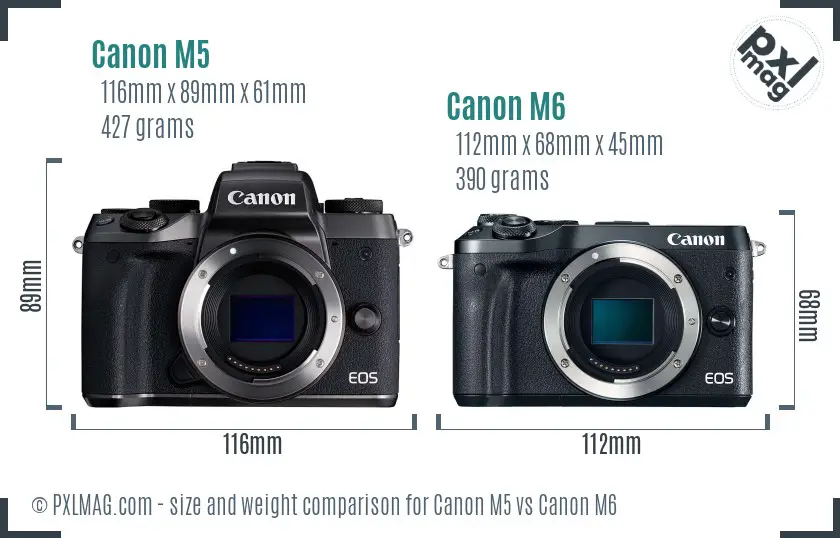 Canon M5 vs Canon M6 size comparison