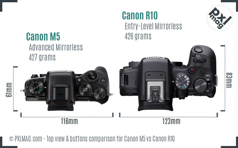 Canon M5 vs Canon R10 top view buttons comparison