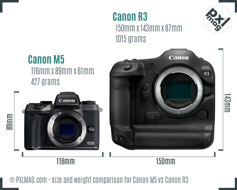 Canon M5 vs Canon R3 size comparison