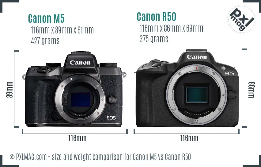 Canon M5 vs Canon R50 size comparison