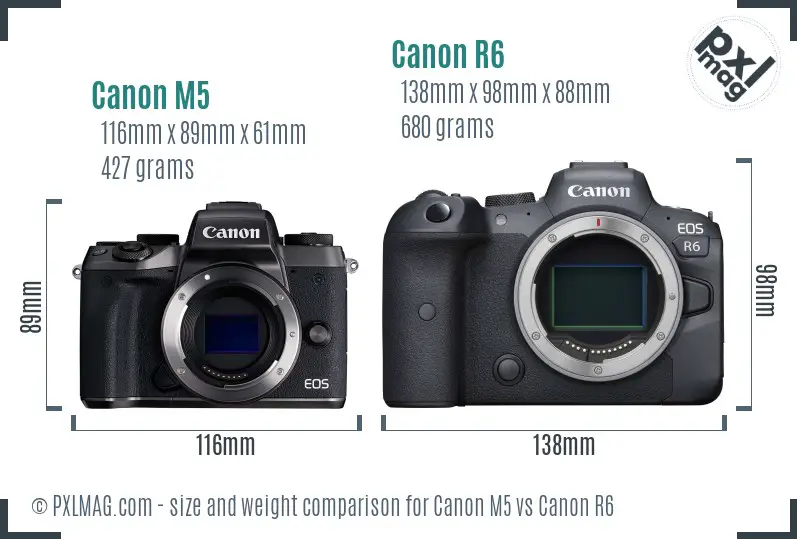 Canon M5 vs Canon R6 size comparison