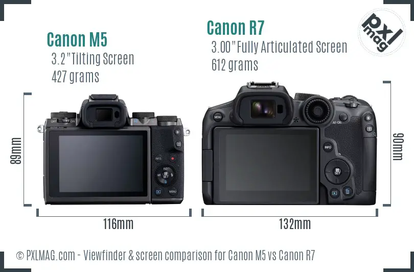 Canon M5 vs Canon R7 Screen and Viewfinder comparison