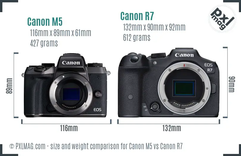 Canon M5 vs Canon R7 size comparison