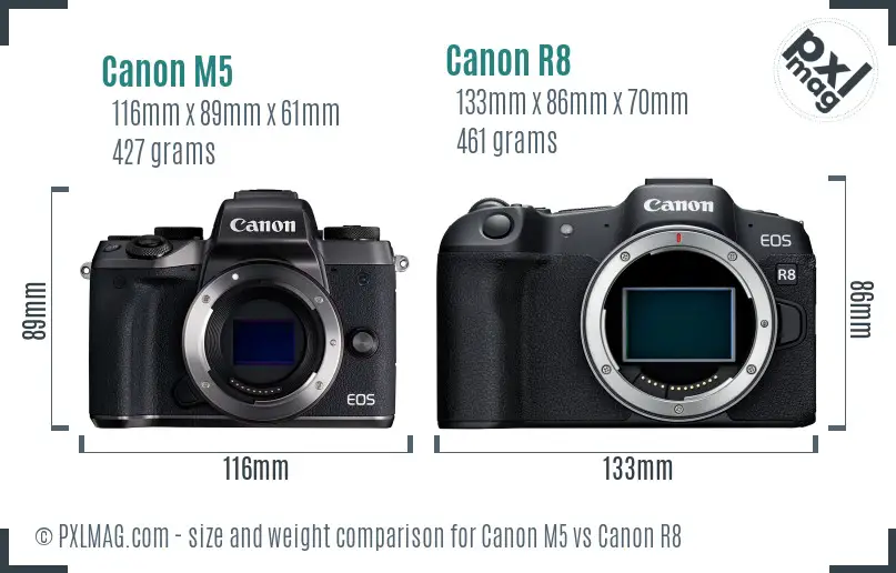 Canon M5 vs Canon R8 size comparison