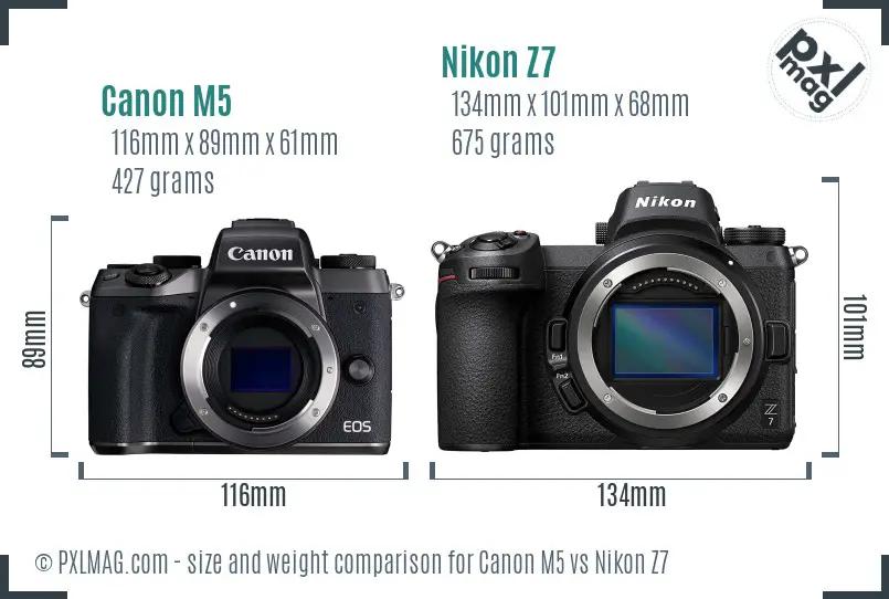 Canon M5 vs Nikon Z7 size comparison