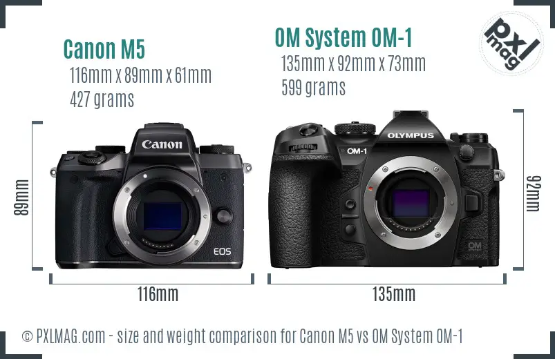 Canon M5 vs OM System OM-1 size comparison