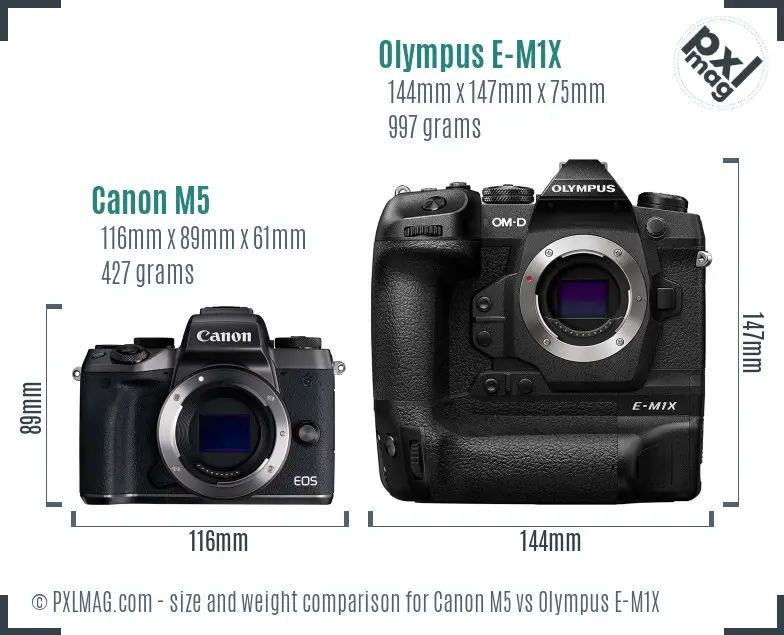 Canon M5 vs Olympus E-M1X size comparison