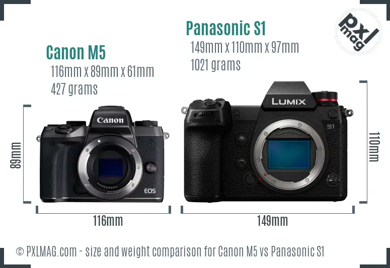 Canon M5 vs Panasonic S1 size comparison