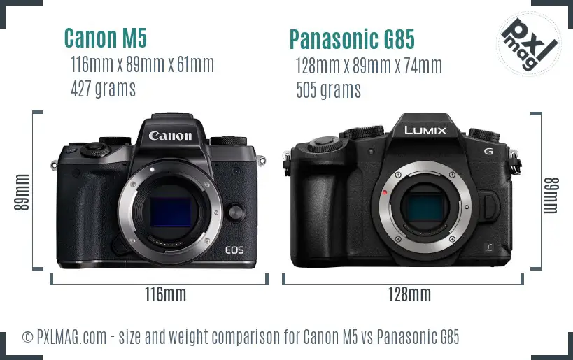 Canon M5 vs Panasonic G85 size comparison